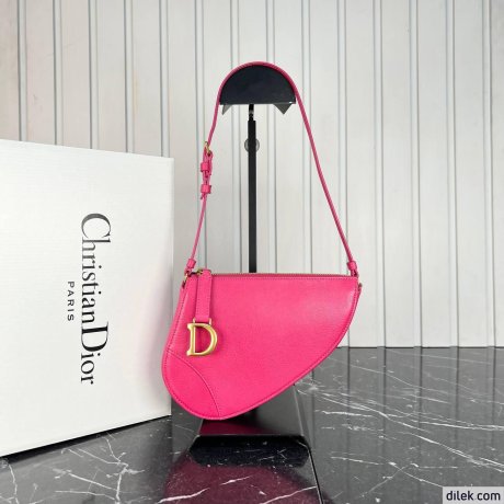 Dior Mini Saddle Shoulder Pouch