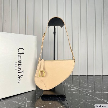 Dior Mini Saddle Shoulder Pouch