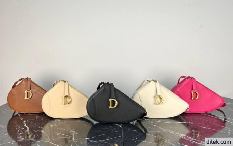 Dior Mini Saddle Shoulder Pouch