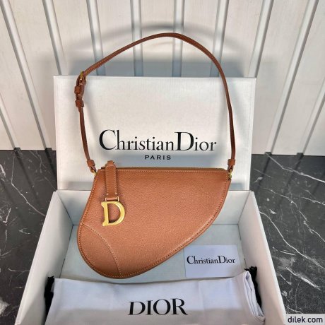 Dior Mini Saddle Shoulder Pouch