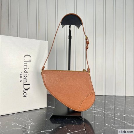 Dior Mini Saddle Shoulder Pouch