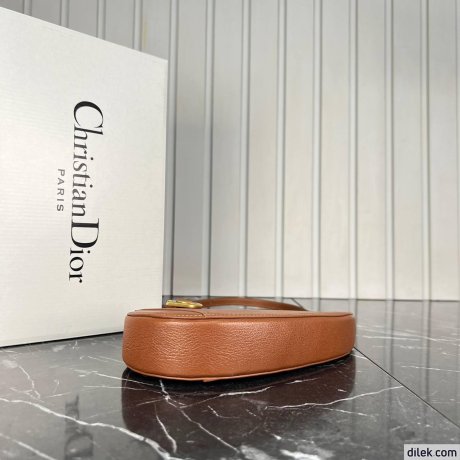 Dior Mini Saddle Shoulder Pouch
