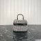Alexander Wang Vanity Bag