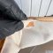 Louis Vuitton Neverfull MM Canvas