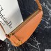 Dior Mini Saddle Shoulder Pouch