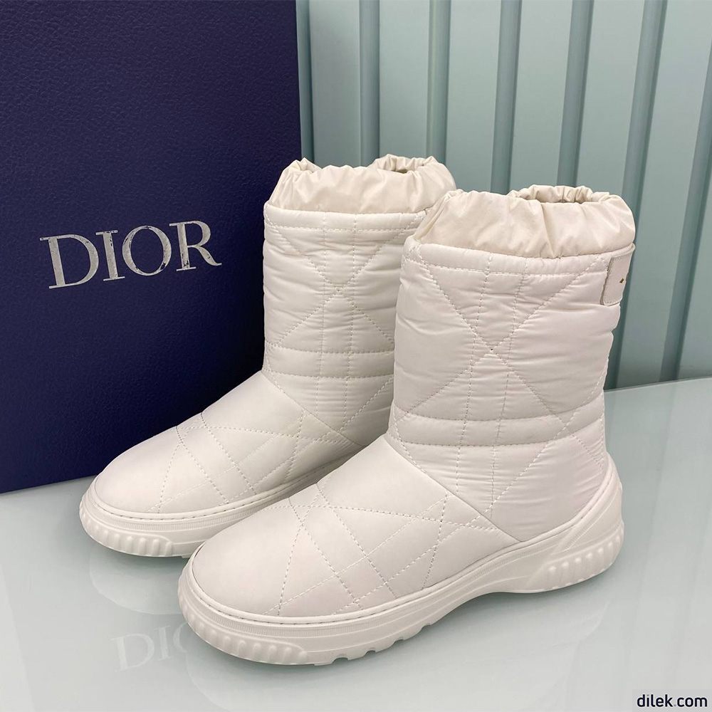 Christian Dior Frost Ankle Boot