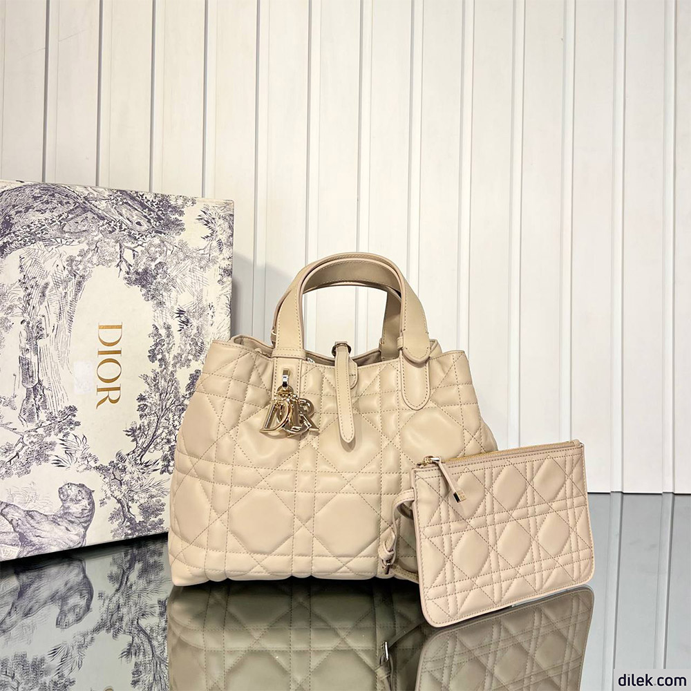 Dior Medium Toujours Bag