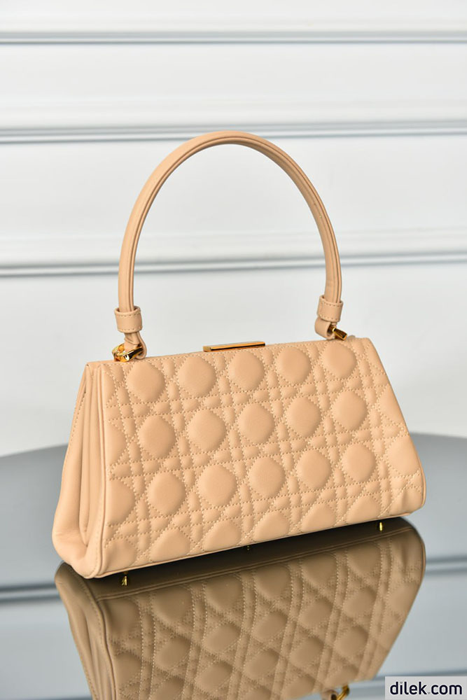 Dior Top Handle Bag