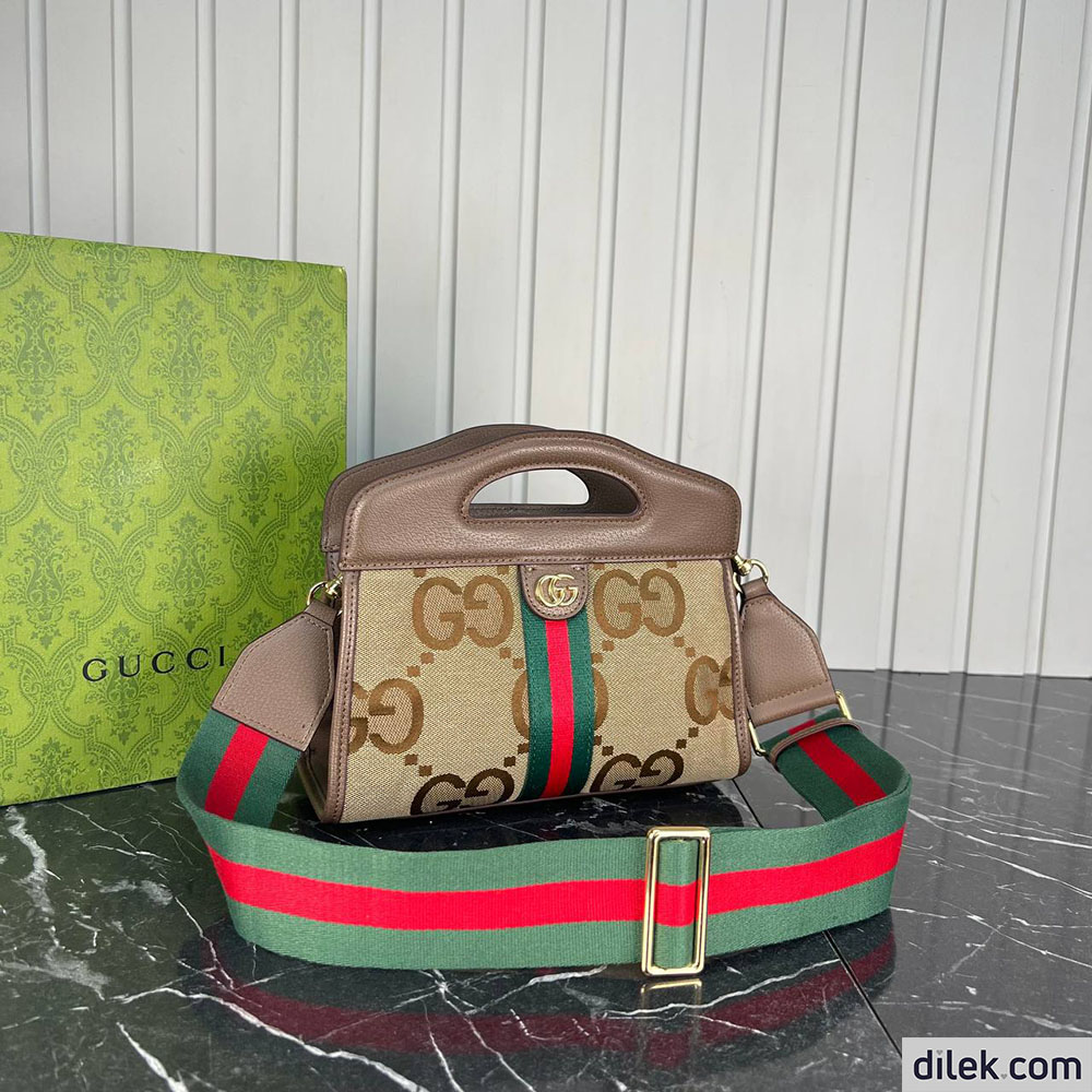 Gucci Ophidia GG Bag