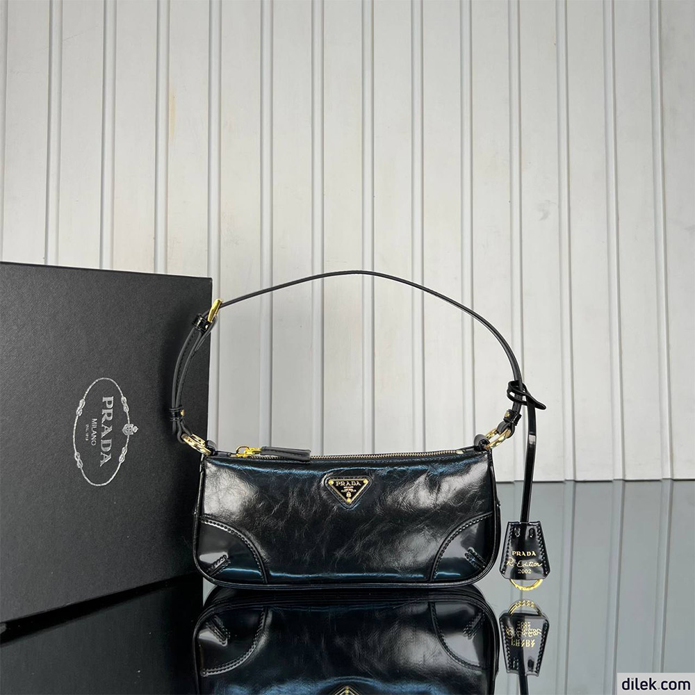 Prada Re-Edition 2002 Medium Leather Shoulder Bag