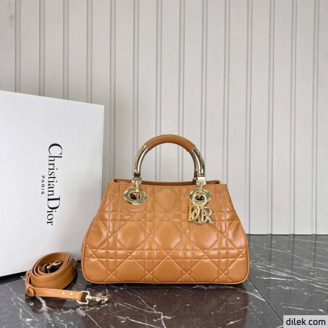 Dior The Lady 95.22 Medium Bag
