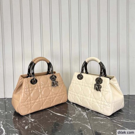 Dior The Lady 95.22 Medium Bag