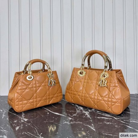 Dior The Lady 95.22 Medium Bag