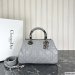 Dior The Lady 95.22 Medium Bag