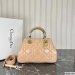 Dior The Lady 95.22 Medium Bag
