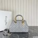 Dior The Lady 95.22 Medium Bag
