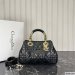 Dior The Lady 95.22 Medium Bag