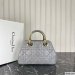 Dior The Lady 95.22 Medium Bag